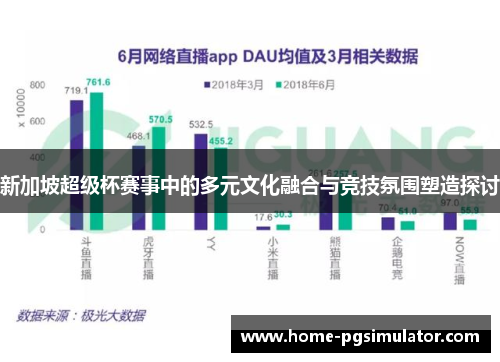 新加坡超级杯赛事中的多元文化融合与竞技氛围塑造探讨