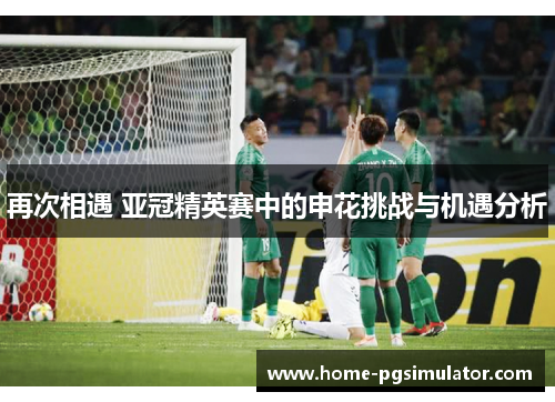 再次相遇 亚冠精英赛中的申花挑战与机遇分析
