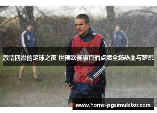 激情四溢的足球之夜 世预欧赛事直播点燃全场热血与梦想