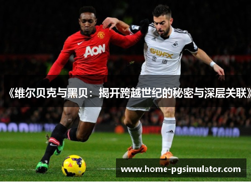 《维尔贝克与黑贝：揭开跨越世纪的秘密与深层关联》
