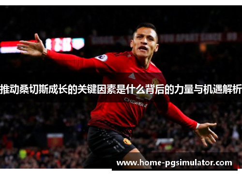 推动桑切斯成长的关键因素是什么背后的力量与机遇解析 推动桑切斯成长的关键因素是什么背后的力量与机遇解析